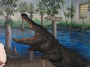 Gatorland